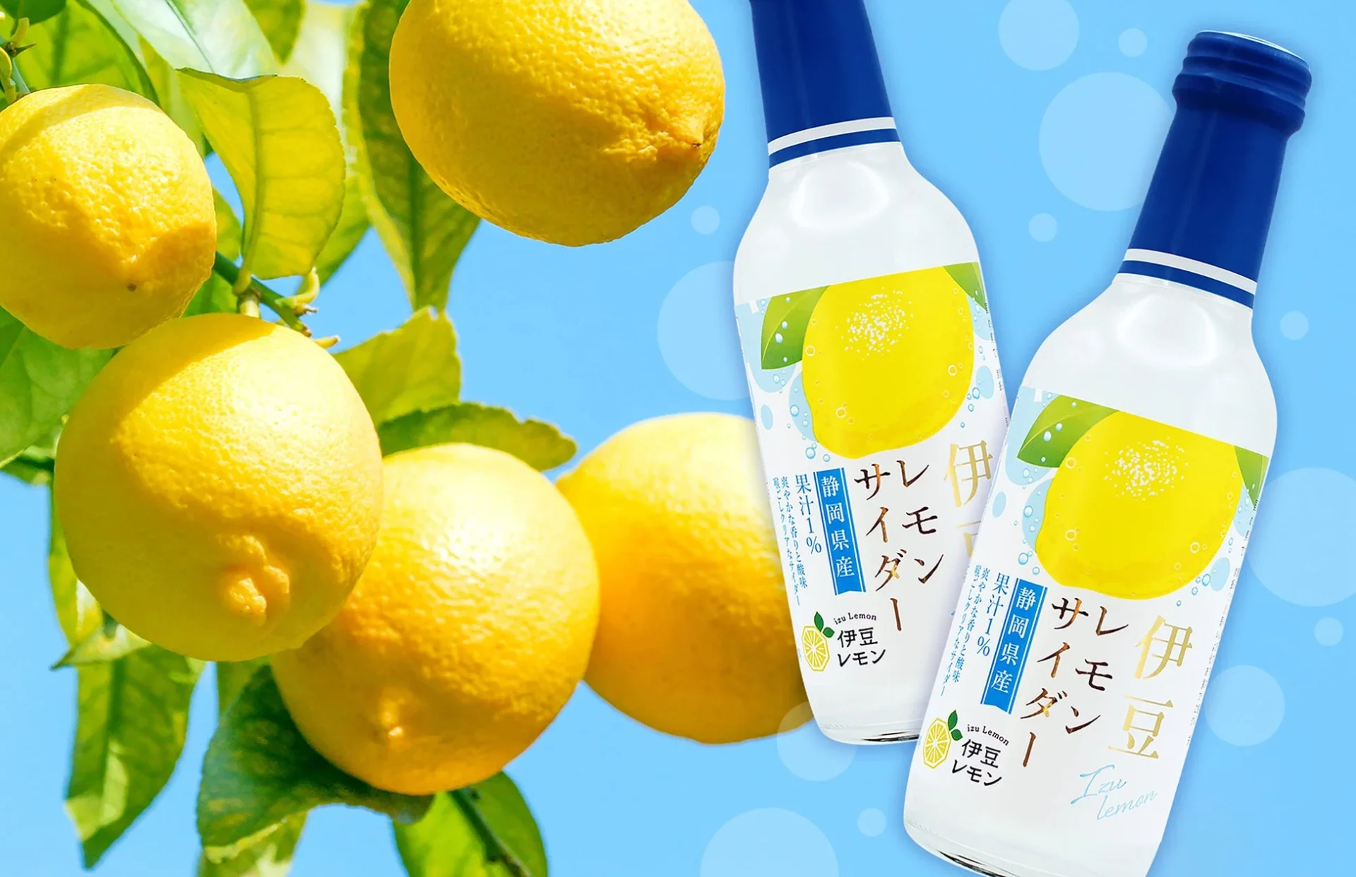 青空を背景にレモンの木と伊豆レモンサイダーのボトル