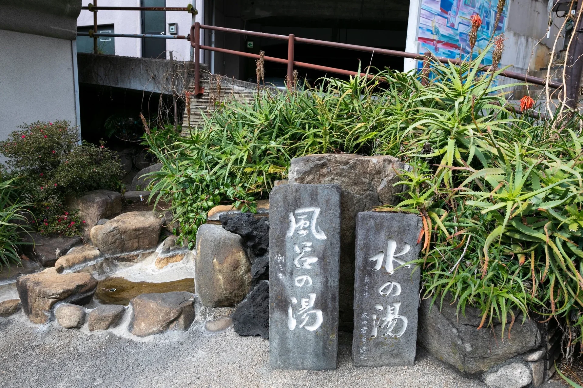 複数のアロエのような植物が生い茂る中に石碑が立つ和風の庭園