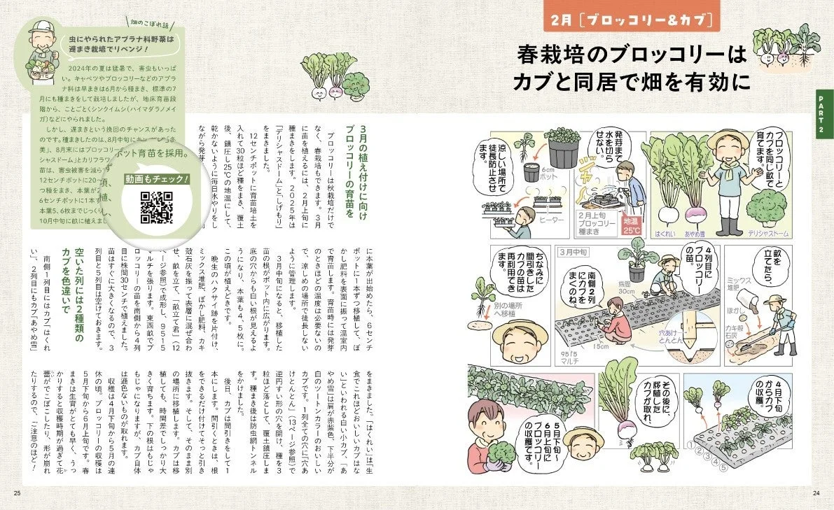 ブロッコリーとカブの栽培方法